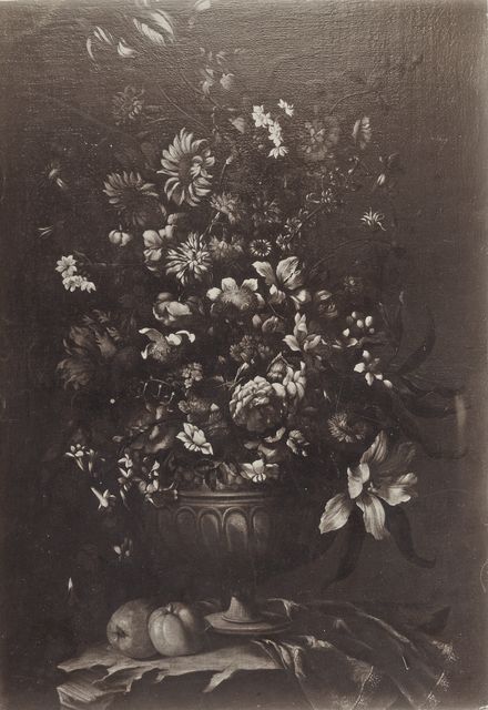 Anonimo — Autore non indicato - sec. XVII - Natura morta con vaso di fiori e frutta — insieme